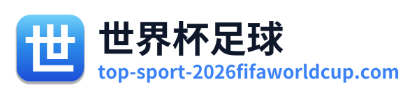 世界杯足球